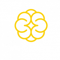 START BRAINS